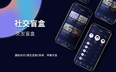 人工智能聊天网站建设开发社交交友聊天圈子